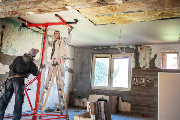 Best Eco-Friendly Insulation in Brusly, LA
