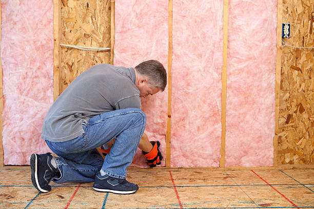 Best DIY Insulation Kits and Guidance in Brusly, LA