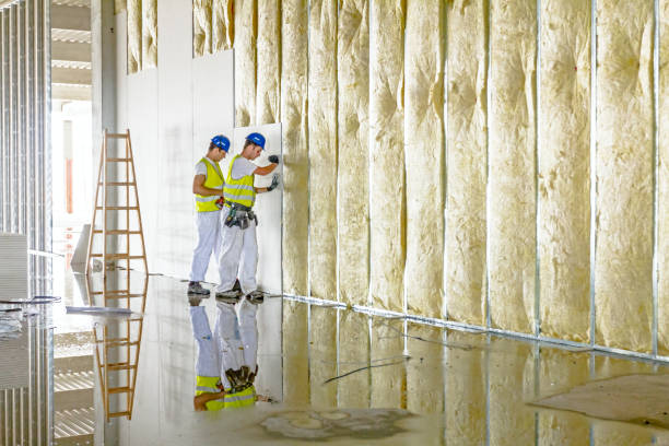 Best Cellulose Insulation in Brusly, LA